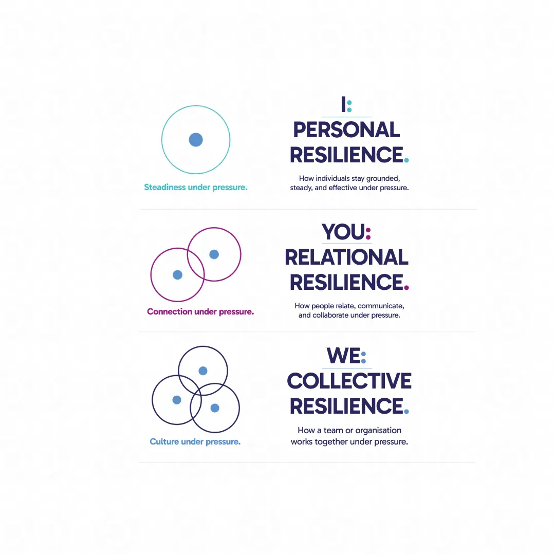 The Resilience Framework